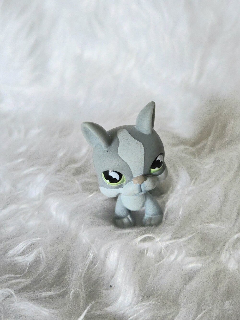 Littlest Pet Shop Gray Boston Terrier #857 2004  Figure Green Eyes Authentic!